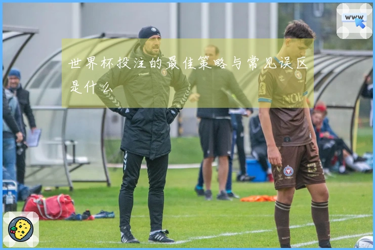 世界杯投注的最佳策略与常见误区是什么