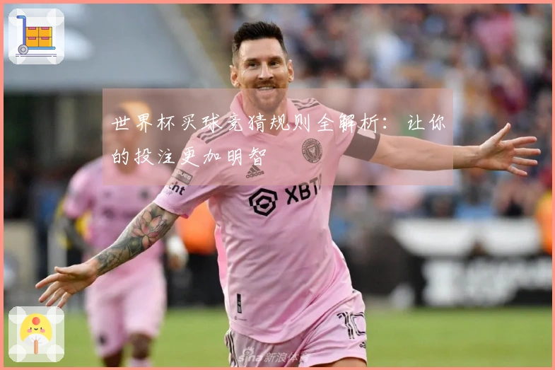 世界杯买球竞猜规则全解析：让你的投注更加明智