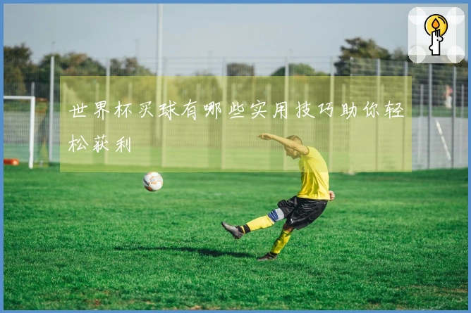 世界杯买球有哪些实用技巧助你轻松获利