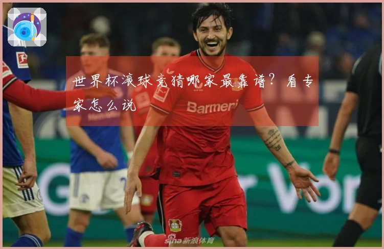 世界杯滚球竞猜哪家最靠谱?看专家怎么说