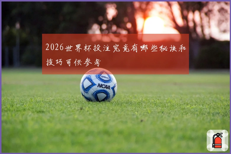 2026世界杯投注究竟有哪些秘诀和技巧可供参考
