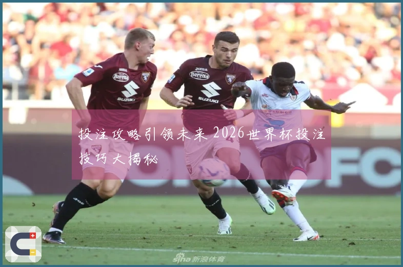投注攻略引领未来 2026世界杯投注技巧大揭秘