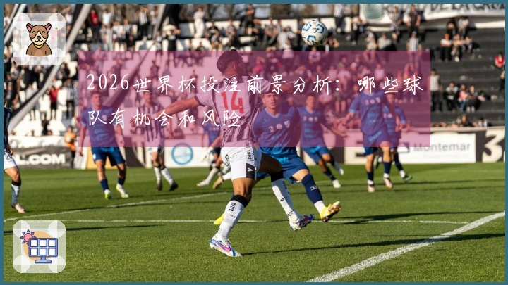 2026世界杯投注前景分析：哪些球队有机会和风险