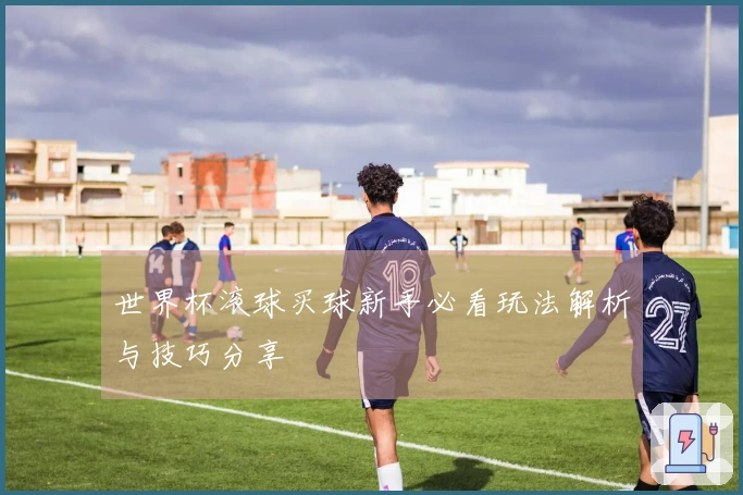 世界杯滚球买球新手必看玩法解析与技巧分享