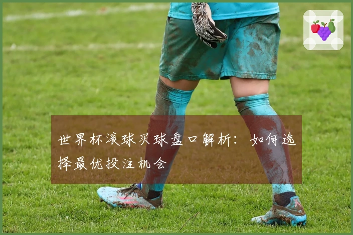 世界杯滚球买球盘口解析：如何选择最优投注机会