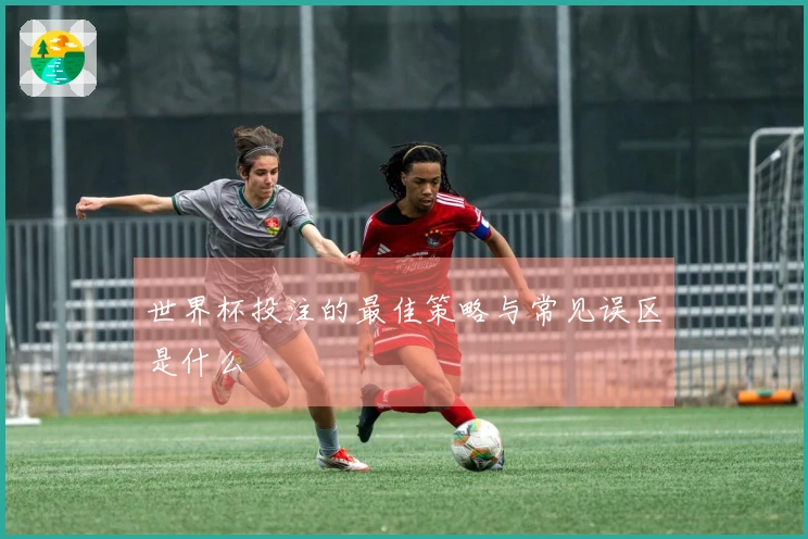 世界杯投注的最佳策略与常见误区是什么