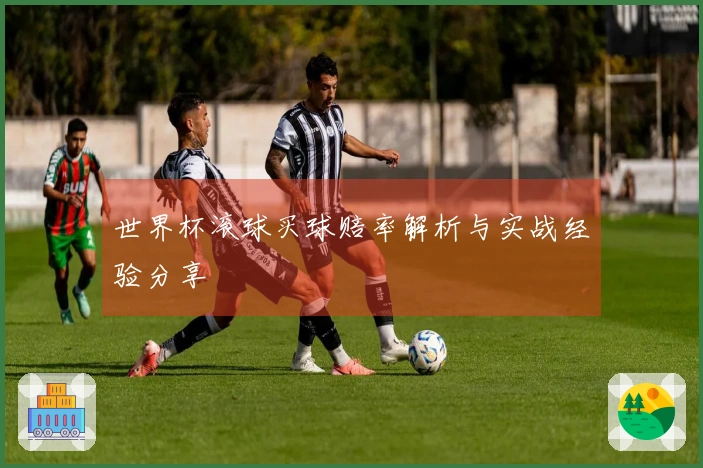 世界杯滚球买球赔率解析与实战经验分享