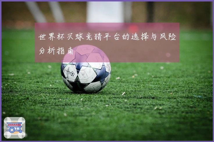 世界杯买球竞猜平台的选择与风险分析指南
