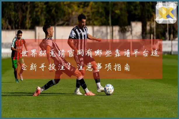 世界杯竞猜官网有哪些靠谱平台适合新手投注？注意事项指南