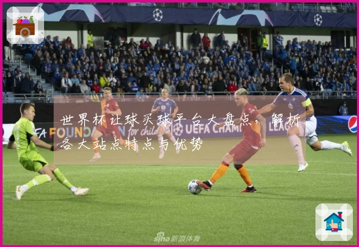 世界杯让球买球平台大盘点，解析各大站点特点与优势