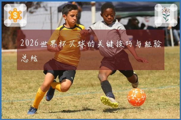 2026世界杯买球的关键技巧与经验总结