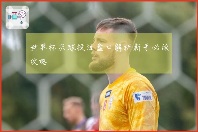 世界杯买球投注盘口解析新手必读攻略