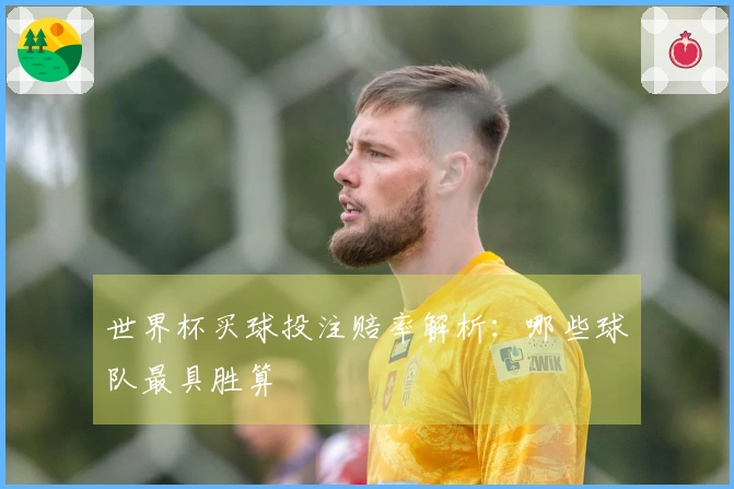 世界杯买球投注赔率解析：哪些球队最具胜算